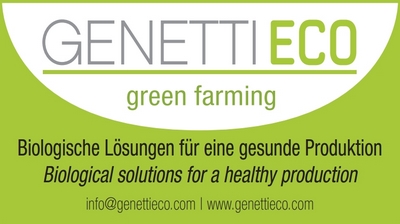 Genetti Eco